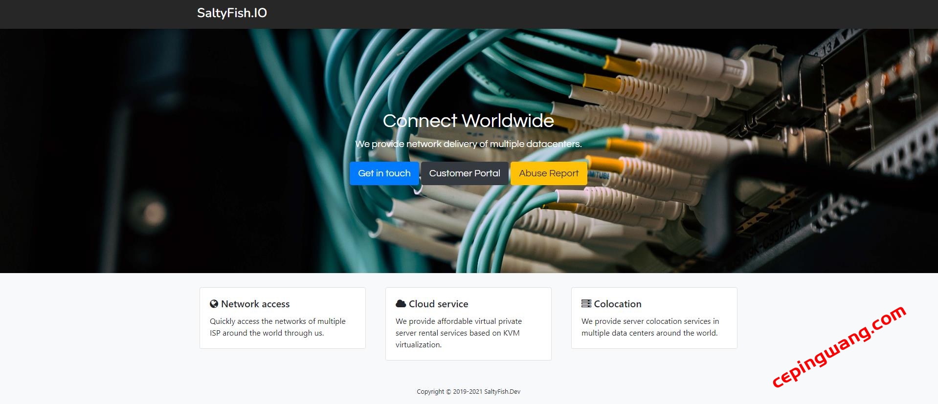 SaltyFish:385元/年/2核/2G内存/20G SSD硬盘/1T流量/1Gbps端口/圣何塞/AS9929